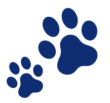 Ahes PetShop