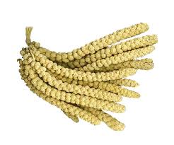 Alpet Doğal Sarı Darı 100 gr